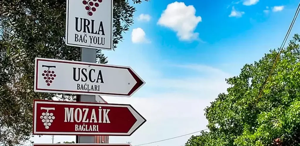 Bağ Bozumu Başlıyor: Türkiye’deki Üzüm ve Şarap Festivalleri