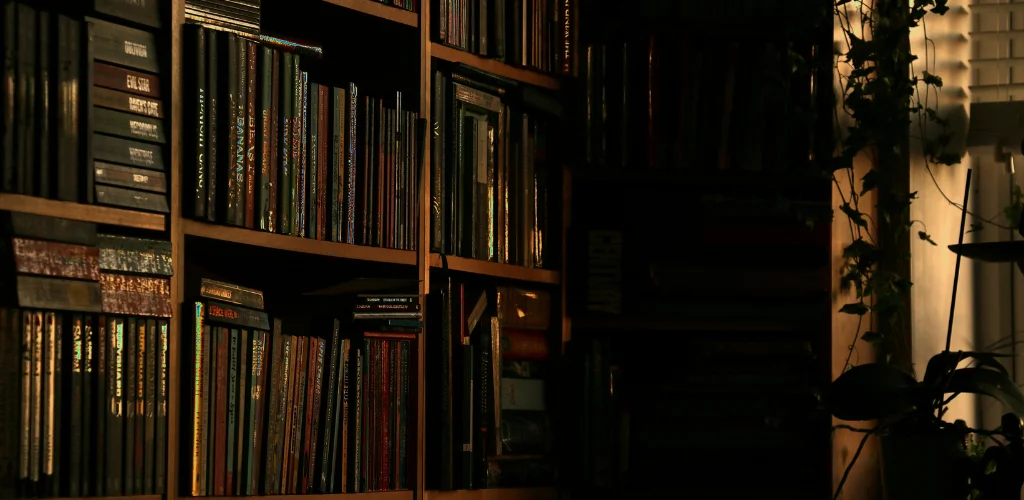 Biblioterapi: Kitap Okumak Mental Sağlığı İyileştirebilir Mi?