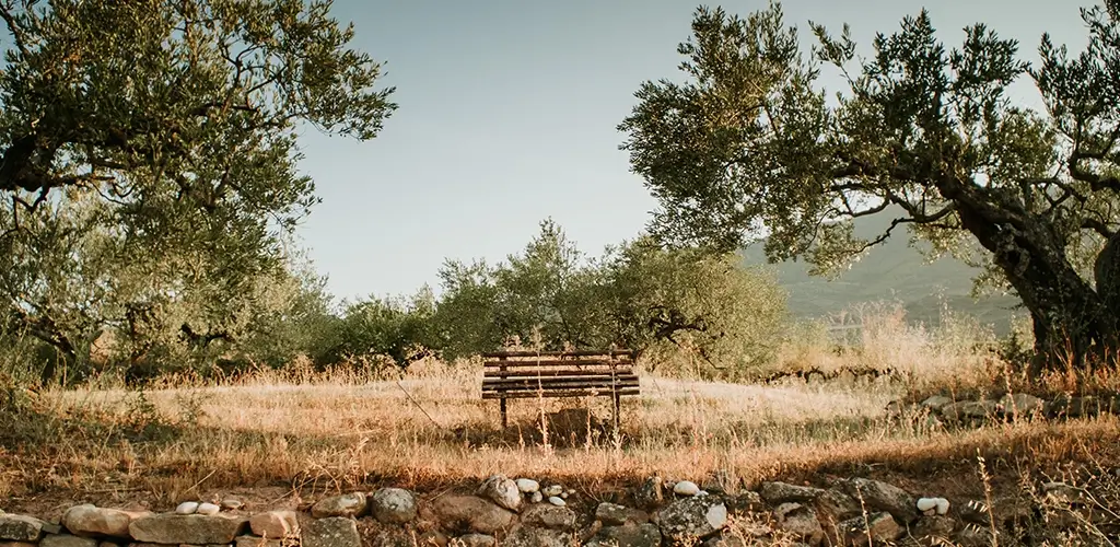 Kuzey Ege Rehberi: Saklı Cennetten Keşif Durakları